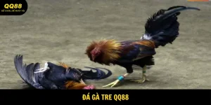 da-ga-tre-avatar